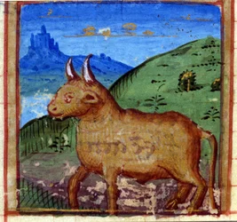 Sign of the Bull, Italian Horoscope, mid-15th century