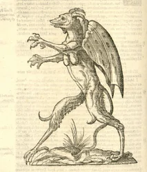 Illustration of Monstrum alatum, & cornutum instar Cacodaemonis from Aldrovandi