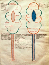 Two Symbolic Flowers, a Page from the Liber Figuratum e le Proemissiones Gioachimitiche, by Joachim of Fiore