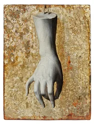 Still Life of a Fine Sculpted Female Hand