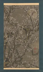 White Plum Blossoms and Moon
