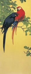 Close-up of Two Parrots Perching on a Branch