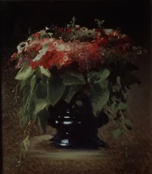 Bunch of flowers. Phloxes, 1884