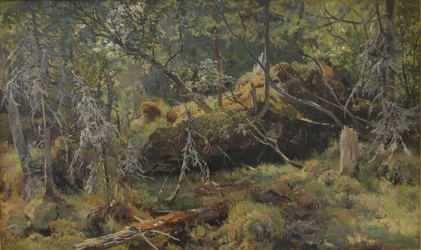 Branches. A Study
