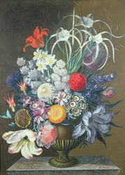 Unknown Image