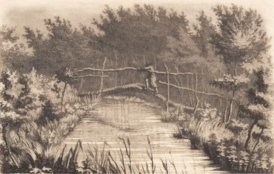 Part of Sanderumgaard