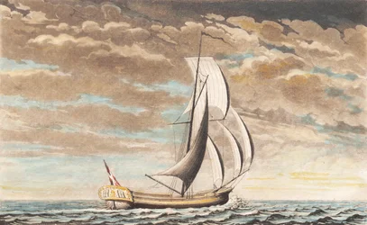 Suite of Ships