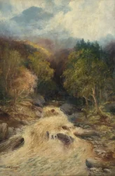 A Mountain Forest
