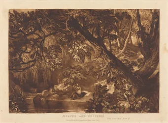 Aesacus and Hesperie