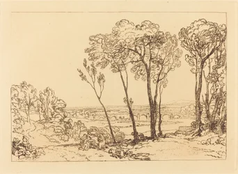 The Bridge in Middle Distance