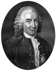 Carolus Linnaeus, 18th century Swedish botanist, physician and zoologist, 1812