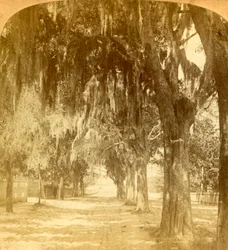 Entrance to St. Augustine, Florida, U.S.A.