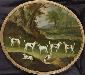 Harriers in Wooded Landscape