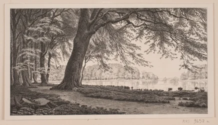 Spring Afternoon by Fuglesangsøen in Dyrehaven