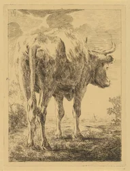Cow in a Landscape
