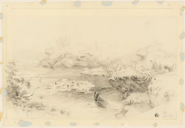 Pond with Water Lilies
