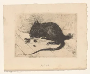 Mouse
