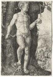 Adam
