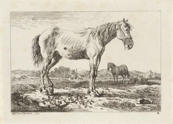 Standing Horse in a Landscape (Six Prints after Drawings by Various Masters)