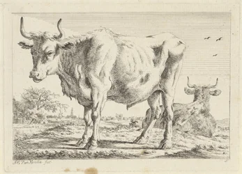 Standing and Lying Ox Six Prints after Drawings by Various Masters (series title)