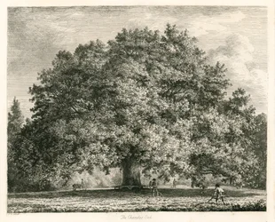 The Chandos Oak, Michendon House, Southgate, London