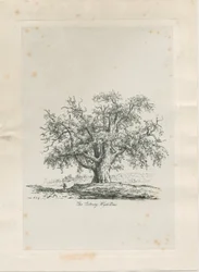 Tutbury - 