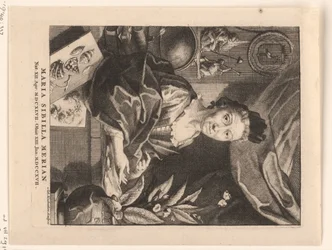 Portrait of Maria Sibylla Merian