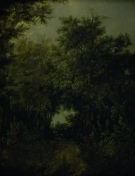 Road in an Oak Forest