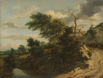 Sandy Track in the Dunes