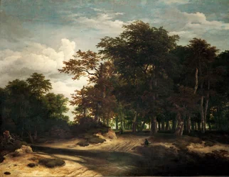 The Big Forest