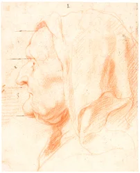 Head of an Old Woman, in Left Profile