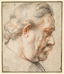 Head of a Man in Profile to the Right