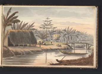 Plantation Visserszorg with Banana Field