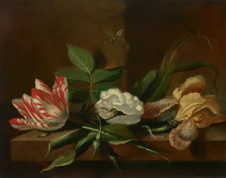 A Parrot Tulip, a Rose, an Iris and Insects on a Wooden Table