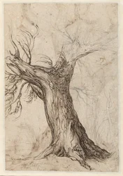 Chestnut Tree with Some Surrounding Trees