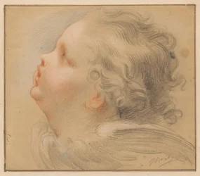 Head of a Cherub, Facing Left