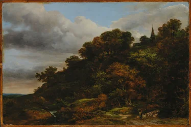A wooded hill