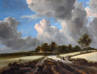Wheat Fields