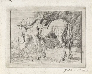 Saddled Horse Tied to a Post