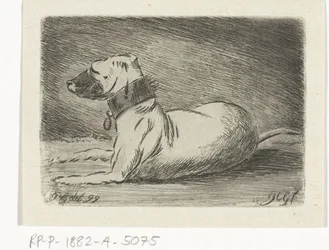 Lying Dog with Collar