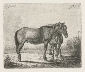 Two Horses