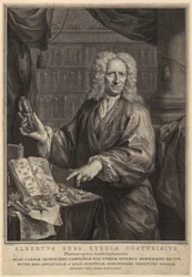 Portrait of Albert Seba, apothecary and renowned natural history collector