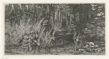 Forest Brook