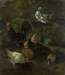 A Cock