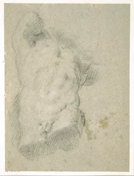 Drawing of a Male Torso