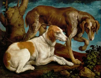 Two Hunting Dogs Tied to a Tree Stump