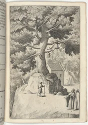Beech Tree with the Bell (plate X)