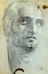 Male Head