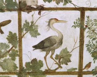 Ibis, from a Fresco of an Aviary in the Villa Medici, c.1576-77