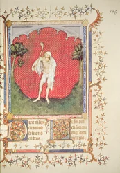 The fool, from the 